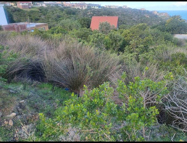 910M² VACANT LAND FOR SALE IN DANA BAY